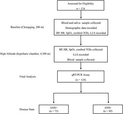 The Role of Salivary miR-134-3p and miR-15b-5p as Potential Non-invasive Predictors for Not Developing Acute Mountain Sickness